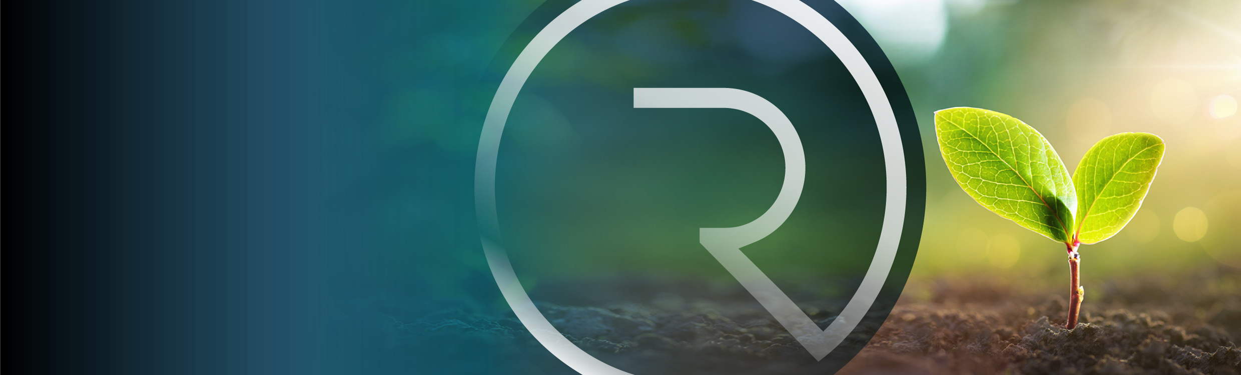 R Ventures | R-evolution